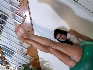 Alexis's Free Foot-Modeling Picture Image