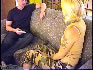 Liz's Subscriber Foot-Worship Picture Image