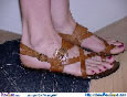 Sage's Free Trampling Picture Image