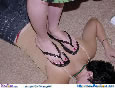 Sage's Free Trampling Picture Image
