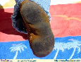 Cindy's Free Trampling Picture Image