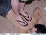 Sage's Free Trampling Picture Image