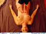 Sage's Free Trampling Picture Image
