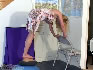 Kelly's Free Trampling Picture Image