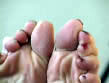 Ally's Subscriber Foot-Modeling Video Clip
File Name: fmv0048.wmv
File Size: 2.04 MB
Duration: 37 seconds
Dimensions: 400 x 300