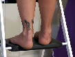 Gayle's Free Foot-Modeling Video Clip
File Name: fmv0061.wmv
File Size: 2.88 MB
Duration: 53 seconds
Dimensions: 400 x 300